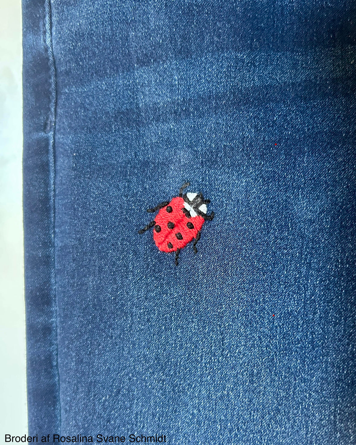 Broderiopskrift INSEKTER